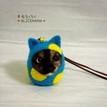 だるま猫ちゃん☆ブルー×イエロー