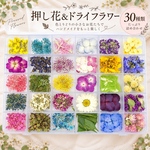 押し花＆ドライフラワー詰め合わせ♡30種類14