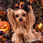 ブラック🐦‍⬛ローズ🌹のハロウィン🎃リボン【オレンジ🧡＆パープル💜】