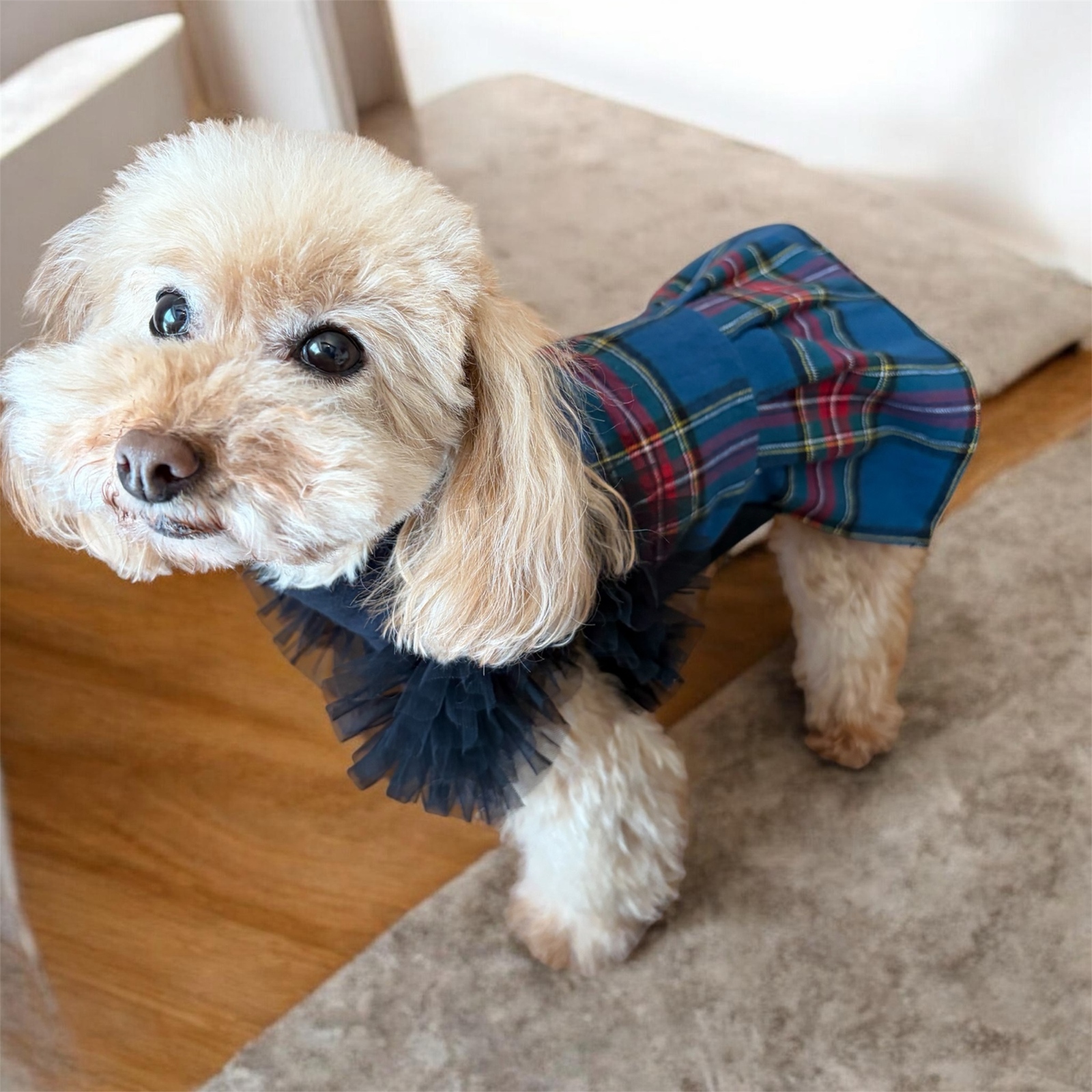 犬服】【ハロウィン】【ゴシック】英国パンクチェックワンピース