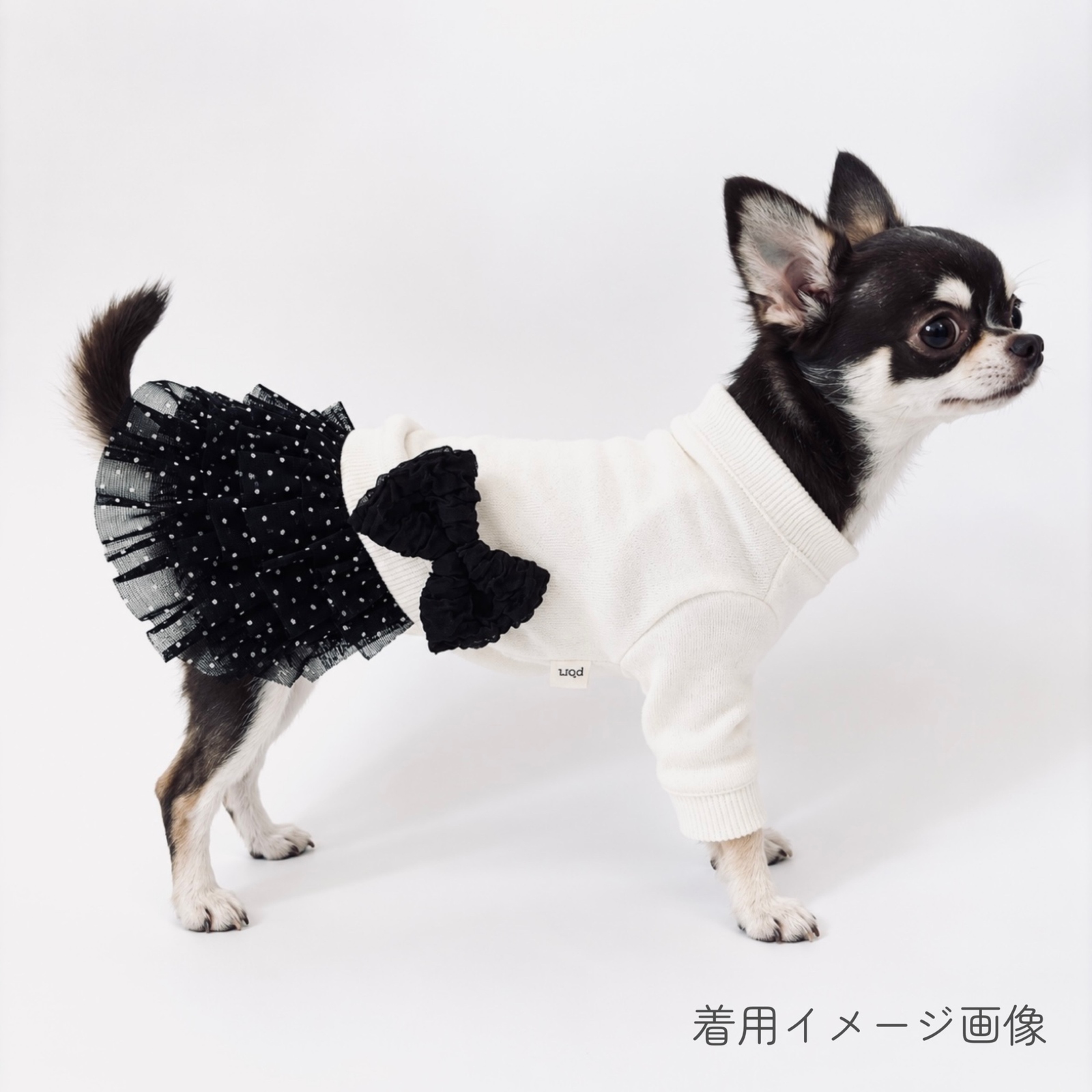 犬服・ぷっくりぼんスウェット - ハンドメイドのわんこ服 pomponne
