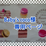 Baby's coco様 専用ページ ポーチ付きパスケース
