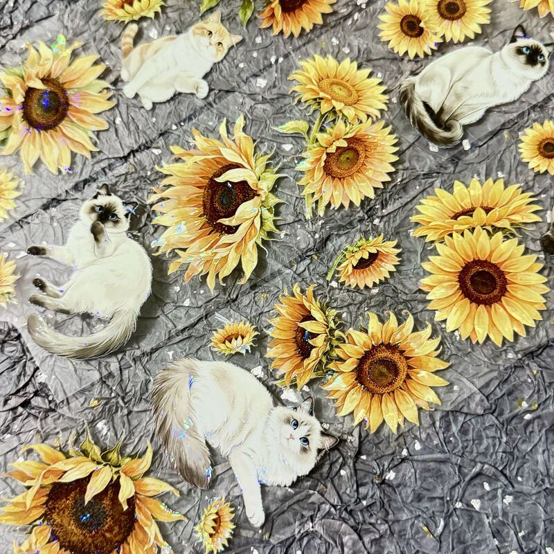 ☆訳ありB品☆20番☆QYマステ8月新作Sunflower Haven 6cm×5M 貝殻光