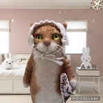 no.480 おひるね茶シマ猫さん