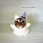 ハロウィンアメショさん