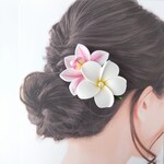 《再販》プルメリア シンビジューム 〈ピンク〉色が選べる フラダンス 髪飾り ハワイアン フラ ヘアクリップ FL-56  