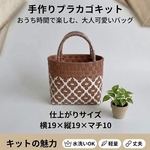 ppバンド プラカゴバッグ ✤ お風呂のおともに✨底補強タイプ