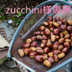 zucchini様専用ミニチュア素材+ミニチュアプリン&ミモザティーセット