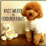 ★再販★【サイズオーダー】Dog Coverall