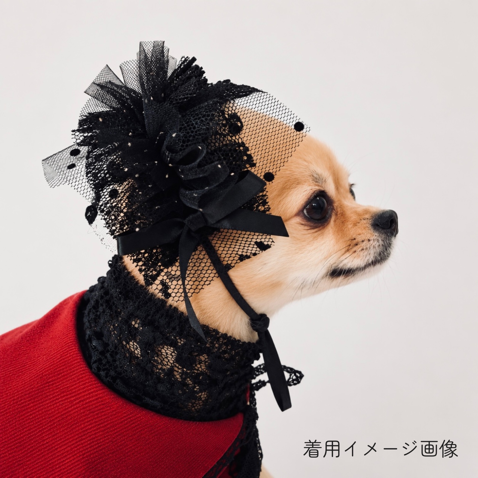 犬服・チュールヘッドドレス - ハンドメイドのわんこ服 pomponne