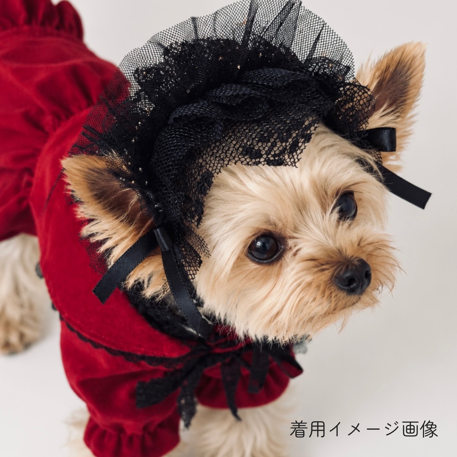 パールリボン♡クリスマス　ネックチュール付き　犬服　ハンドメイド　∞TuTu∞ 犬服・チュールヘッドドレス - ハンドメイドのわんこ服 pomponne