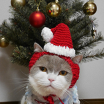🎅サンタ帽子