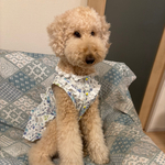 犬服　お花　タック　フリル　ワンピース　オーダー