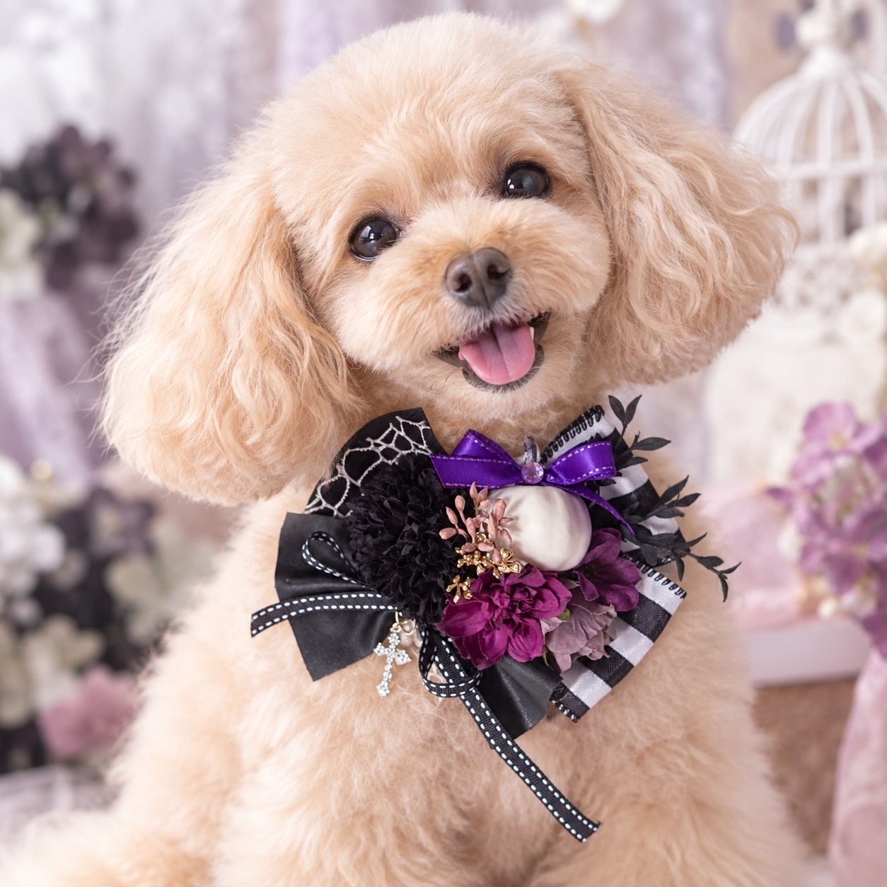 🎃ハロウィンチョーカー🎃 犬猫ヘアアクセサリー トリミングチョーカー