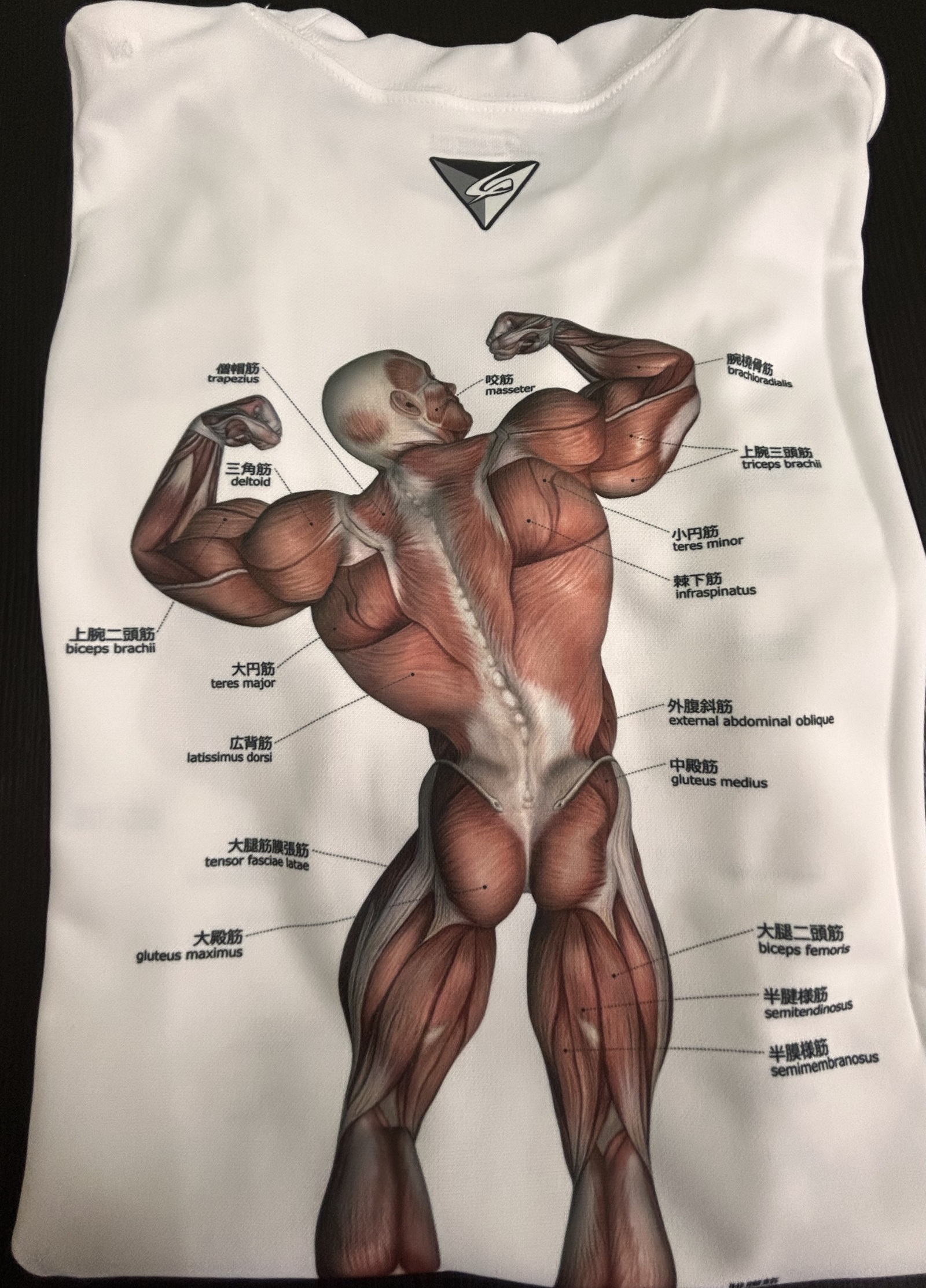 筋肉Tシャツ 140 キッズ 解剖学 筋肉図 蓄光反射 半袖 白 トレーニング