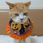 愉快なハロウィン