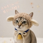 ふわもこひつじ🐏耳穴付き帽子