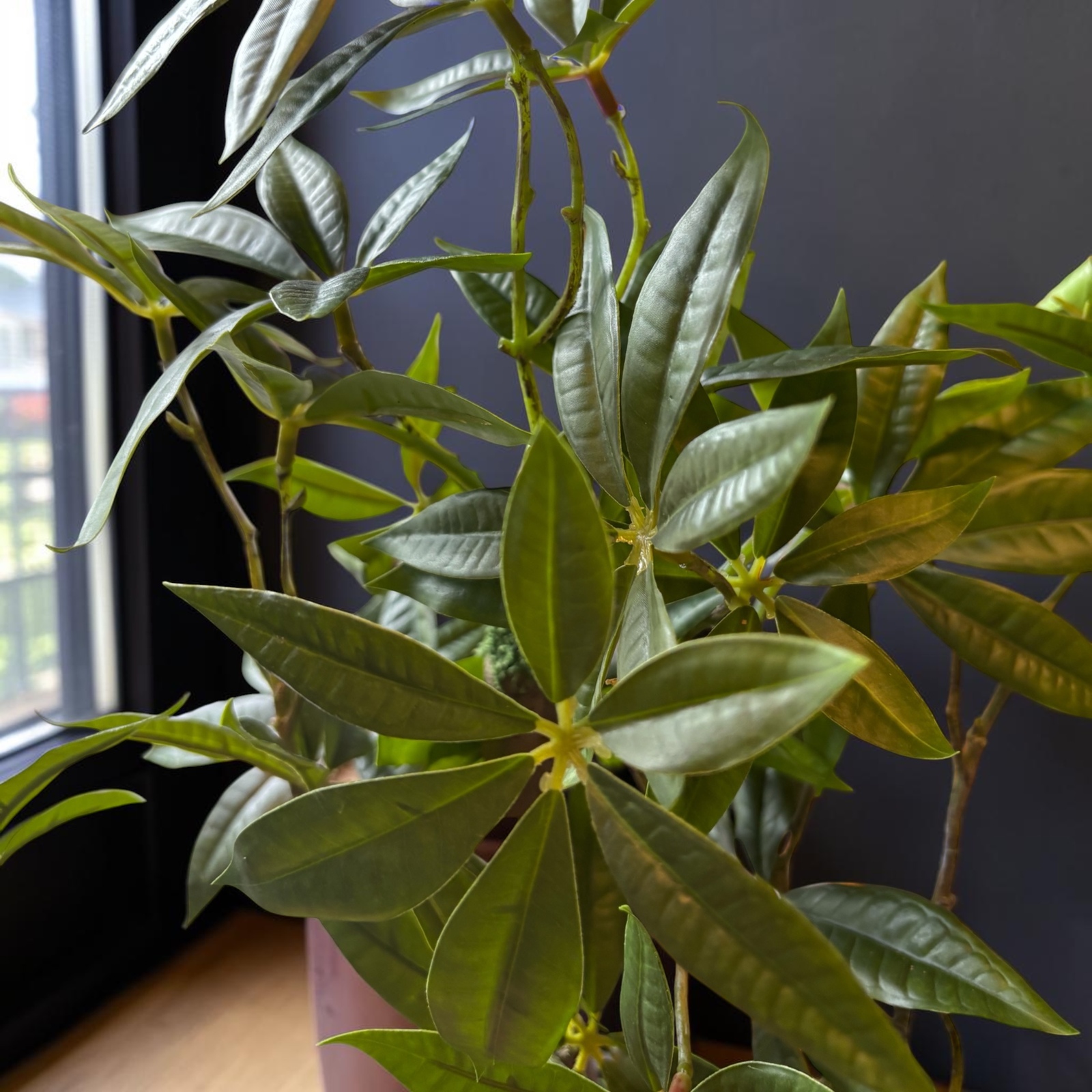 光触媒 人工観葉植物 ウォールグリーン フェイクグリーン ツイスト