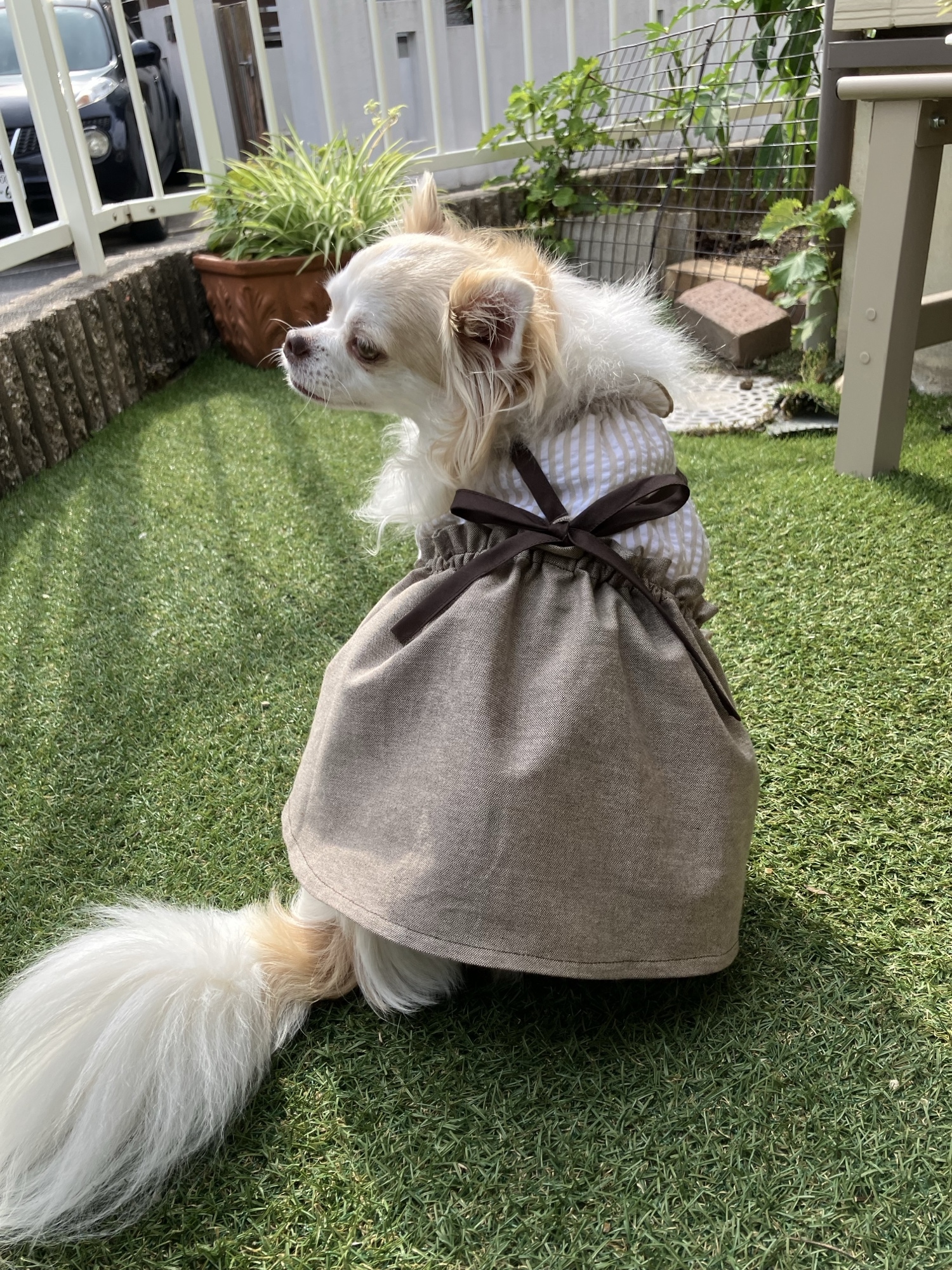 ハンドメイド犬服 サロペットスカートRED check生地オーダーサイズ❁⃘