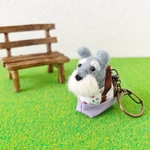 おでかけわんこ　シュナウザー