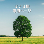 ミナミ様専用ページ
