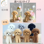 トイプードルちゃん　選べるガラスケース2タイプ　犬フラワーアレンジメント　虹の橋　羊毛フェルト　全7色　小さな手のひらサイズ　【一部受注制作】