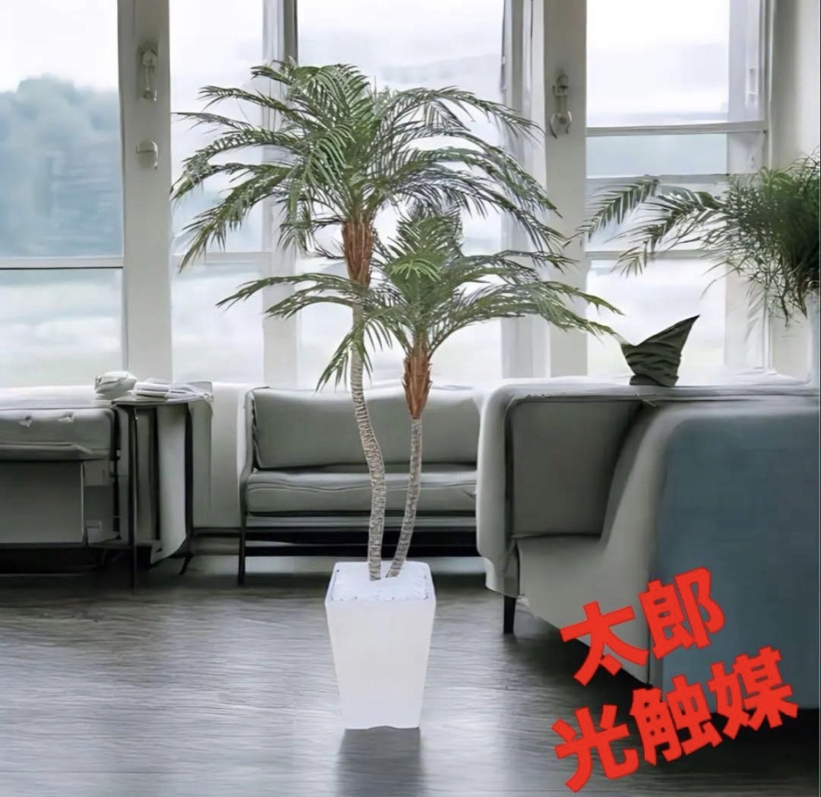光触媒 人工観葉植物 ウォールグリーン フェイクグリーン ショウナン
