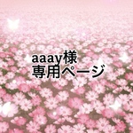 aaay様専用ページ★ゴムゴムワンピース