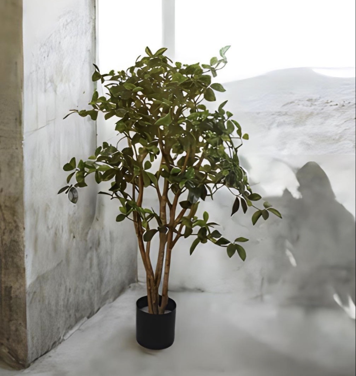 光触媒 人工観葉植物 ウォールグリーン フェイクグリーン ガジュマル