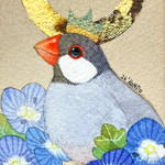 🎪NEW🎪【原画】文鳥の王とオオイヌノフグリ