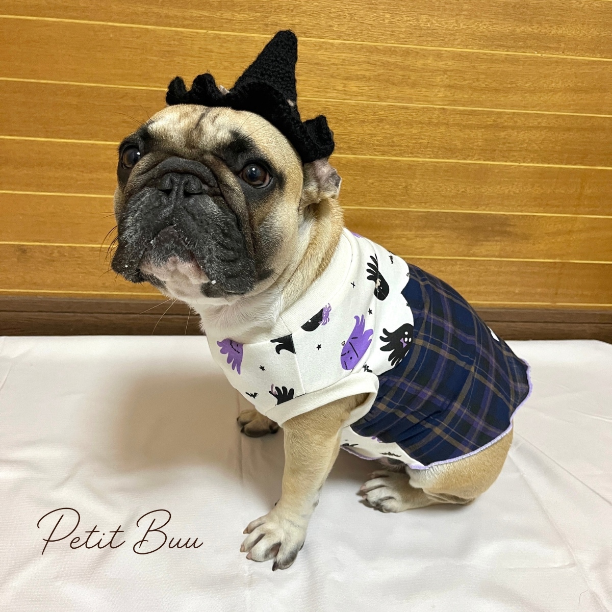 犬服ワンピース ファミリア風チェック - YUZURU118'S GALLERY | minne