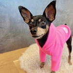 オーダー犬服 フリースパーカー ネオンピンク