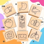 手書きイラストの臓器スタンプ