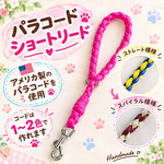 四つ組み ショートリード