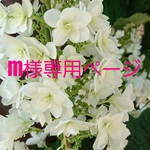 m様専用sweetheart ワンピース