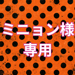 ミニョン様専用