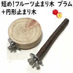 短め！フルーツ止まり木　プラム+円形止まり木