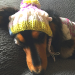 ✴︎再販✴︎犬用ニット帽