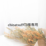 chinatsu1972様専用