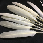 リアルフェザー Goose 羽 ミルキーホワイト 10枚セット 10-15cm