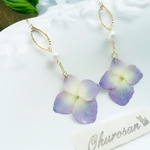 送料無料orノベルティ(ヘアタイ)プレゼント☆再販☆紫陽花とコットンパールのピアス♪