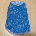コーギー用 Ｌサイズ メルヘン柄   ターコイズ色
