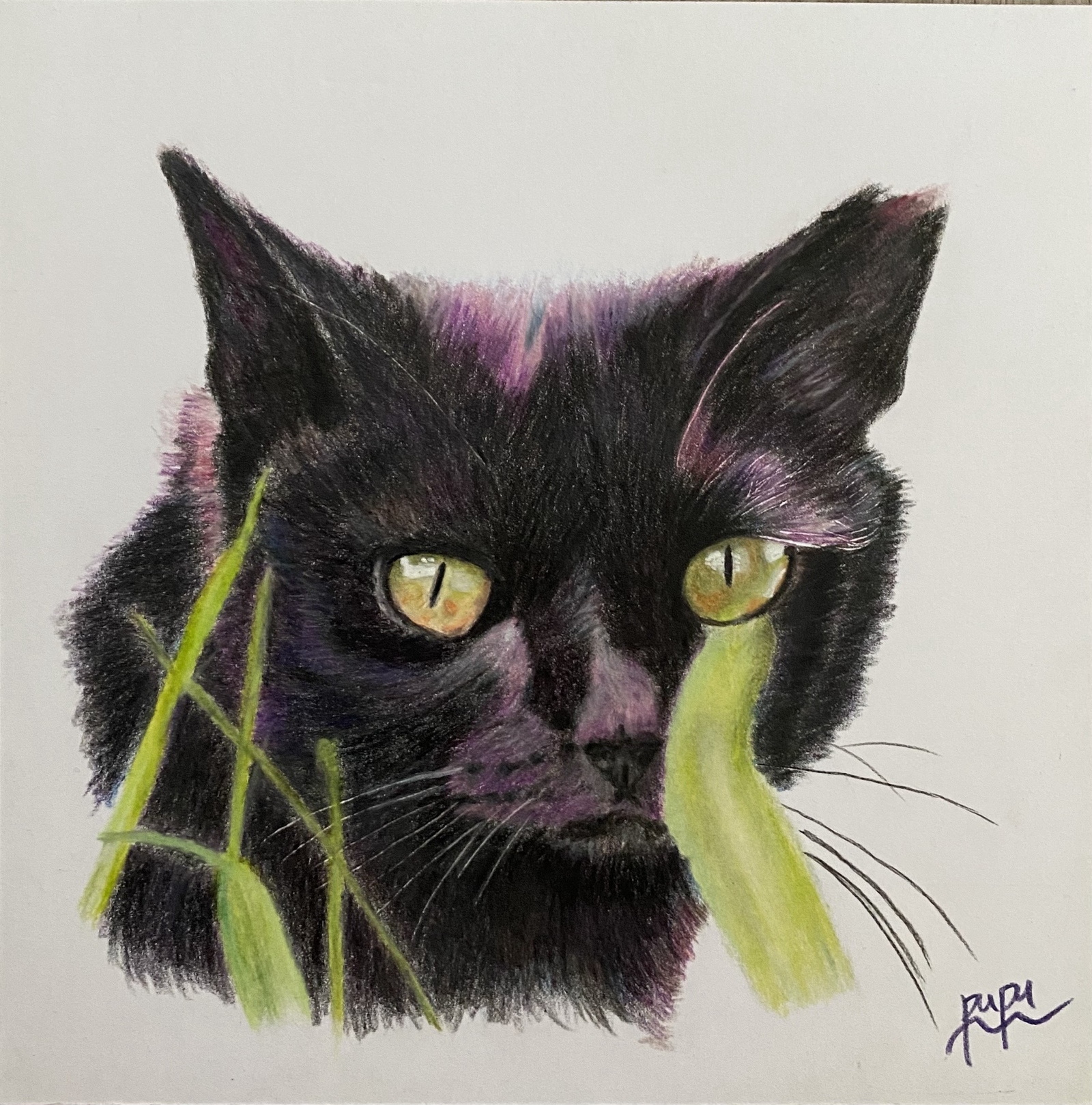 野良猫 色鉛筆画 - pupu33-kebin | minne byGMOペパボ 国内最大級の