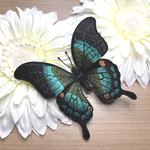 オビクジャクアゲハの立体刺繍ブローチ