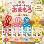 🐹 モルモットのおまもり「おまもる」🐹