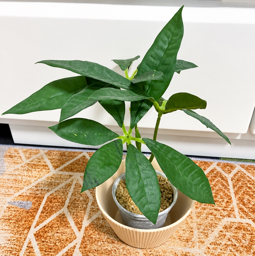 磁器製プランターカバー(植木鉢カバー) friendship No.1 - july7altair