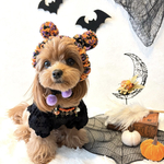 犬 S サイズ ハロウィン 帽子 ♡ 猫 ペット かぼちゃ ゴースト 犬かぶりもの 被り物 ぽんぽん ニット 帽子 犬帽子 ニット帽  リボン ハット 記念日 アクセサリー スタイ ビブ