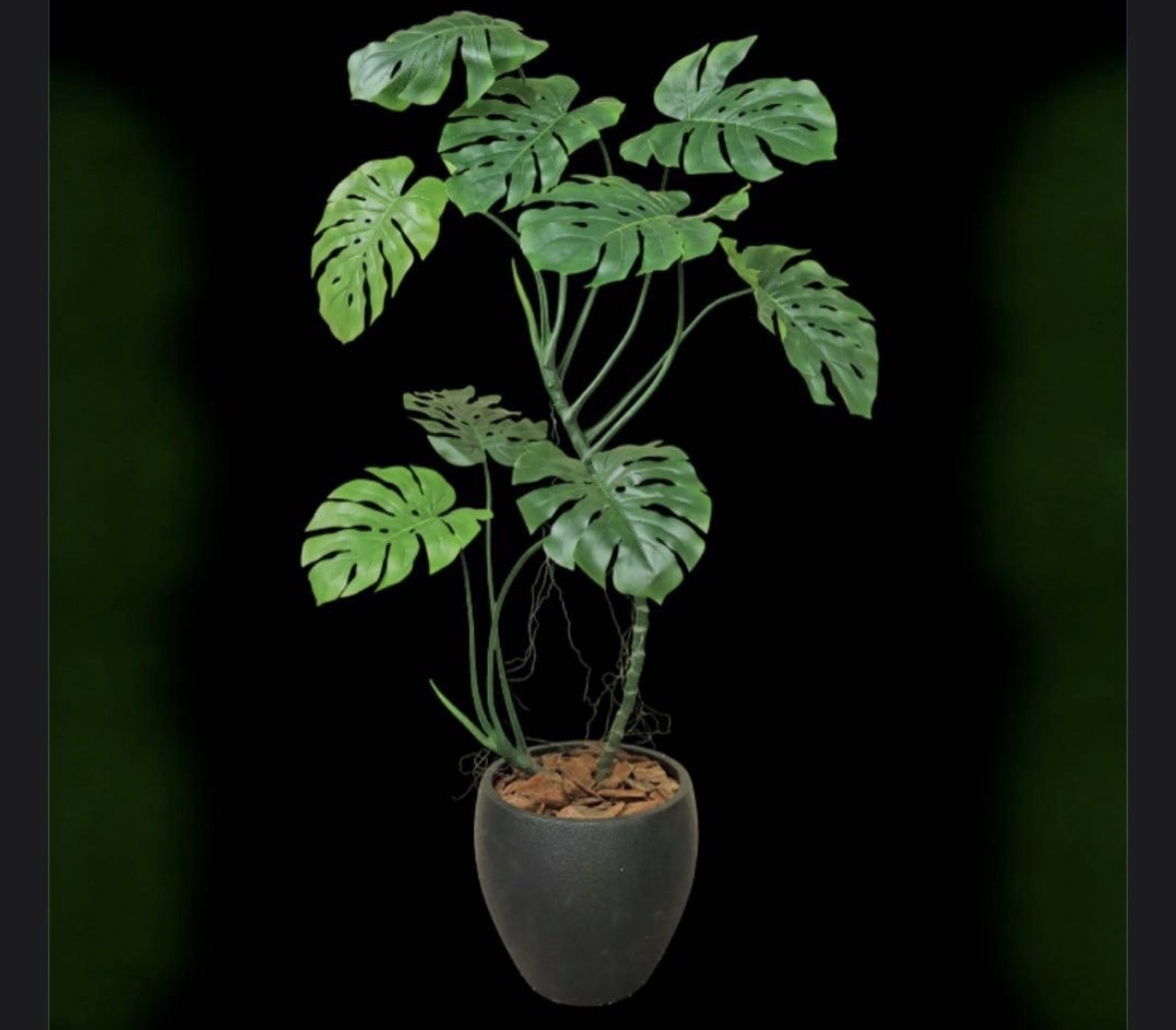 光触媒 人工観葉植物 ウォールグリーン フェイクグリーン 榊 しきび 仏