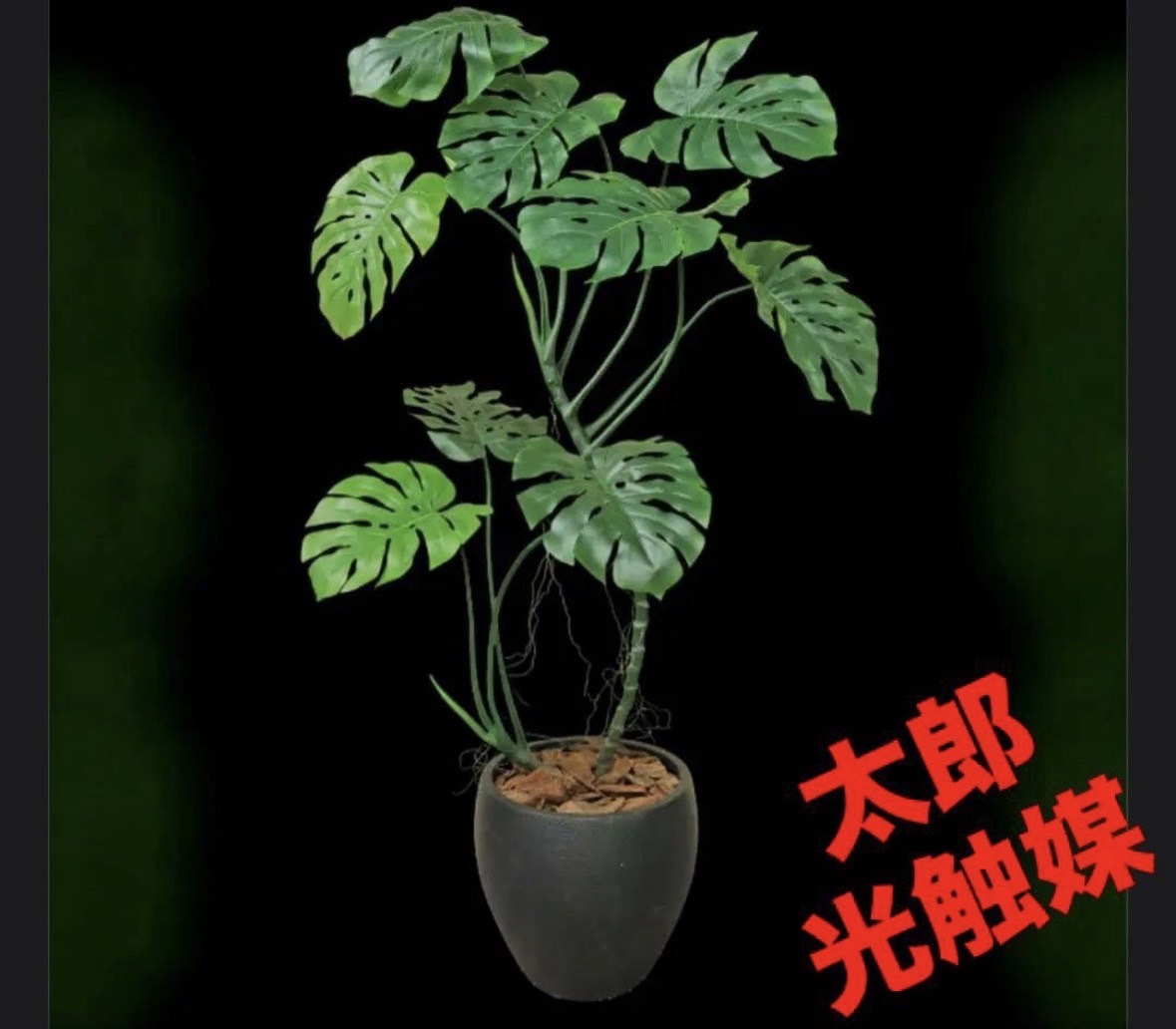光触媒 人工観葉植物 ウォールグリーン フェイクグリーン モンステラ