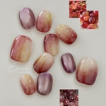 Plum Wine🍇 / ネイルチップ / ぶどうネイル / ニュアンスネイル / もやもやネイル / マグネットネイル / フルーツネイル / 秋ネイル